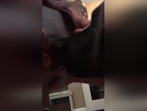 dog has sex with wife