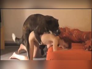 Dominazione canina: scopri il desiderio perverso della mamma perversa