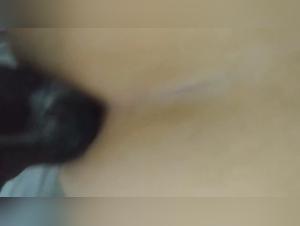 Discover the Story of Coco's Love for Sex and His Canine Companions