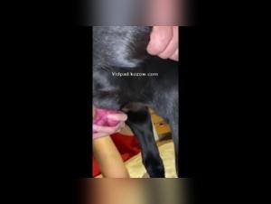 The Frontier of Pleasure: Bestiality and Ecstasy