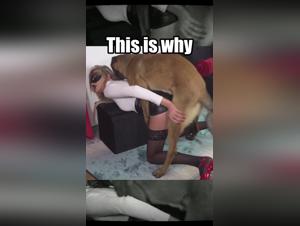 Zoofilia nascosta? Analisi di un video TikTok sull'allevamento di cani maschi giganti