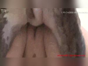 Go beyond the limits: Unhealthy and irresistible sexual experience