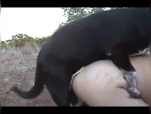 Bestiality: An Intimate Encounter with a Four-Legged Friend