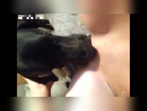 Bestiality and Zoophilia Videos