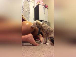 Dog Sex Video: Elyssa and Her Best Friend