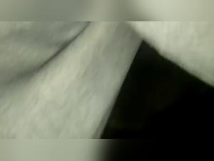 Women Enjoying Dogs in Anal Play: A Zoo Porn Experience