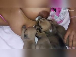 Sex videos with dogs: An extreme experience