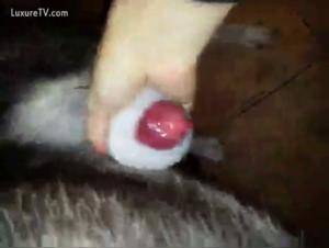 Shocking bestiality scene with a young girl