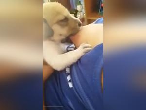 Animal sex video: woman breastfeeds dog
