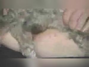 Bestiality sex video: woman and dog