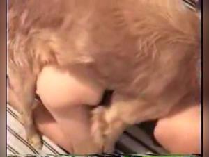 Captivating and Exclusive Videos