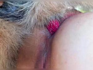 Doppia penetrazione selvaggia - Il cicciottello si disfa sotto gli artigli di due cani