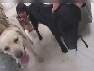 TikTok Zoo & Forbidden Desire