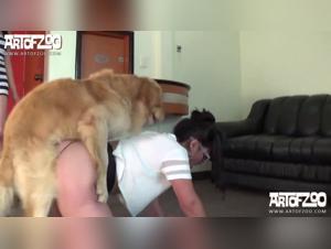 Erotoporn Film of a Dirty Dog and Sexually Active Prostitute Girl