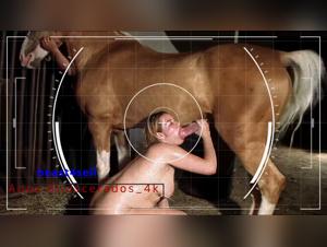 Wild Dog Fucking and Whores Sucking Like Crazy