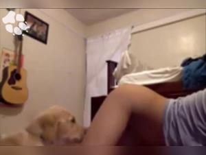 Intense and Passionate Scene - Sex With Dog