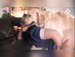 Vidéo de Zoophilie : Une Histoire d'Amour Interdite