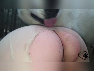 Insaziabile Bionda e cane divorante: un tabu rivelato
