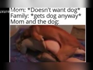 Boundaries & Ethics: dog bj, tickzootv