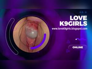 Discover the Limits of the Forbidden in our Bestiality Video