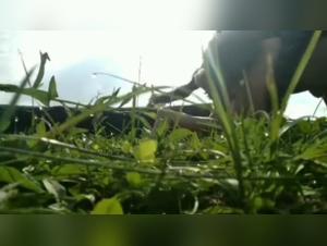 Discover the Ecstasy of Zoophilia