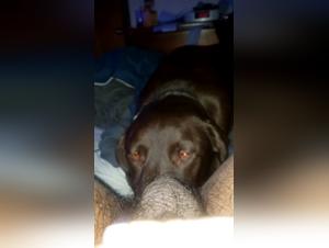 beastiality cartoons onlyfan