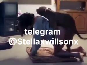 Brutal Doggy Style: Discover Wild Sexual Delirium