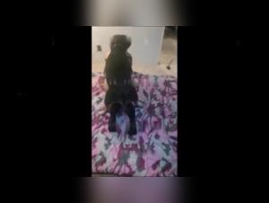 Discover the Limits of Ecstasy in this Sex Video with a Dog