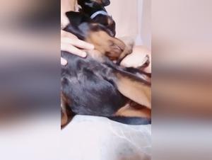 Eccitazione canina brasiliana chupe, succhiato, violenta