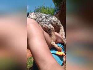 zooxhamster k9 sex laws