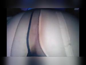 Doggi - A Forbidden and Exciting Intimacy