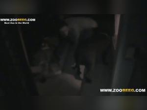 Naughty MILF and her Best Friend on all fours