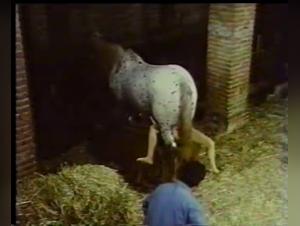 Vidéo de zoophilie : une femme et un cheval