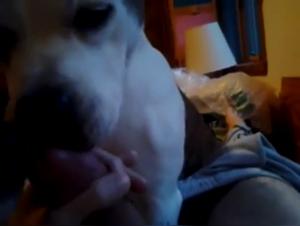 Watch this hardcore zoophilia video with animals