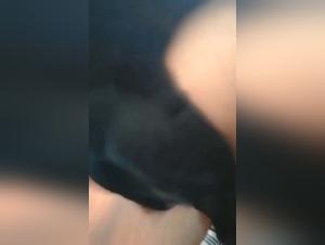 A bestial and forbidden encounter: Sex with a dog on video