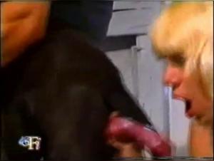 Intense moments of bestiality with a blonde