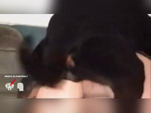 Zoophilia cruda: Senza limiti
