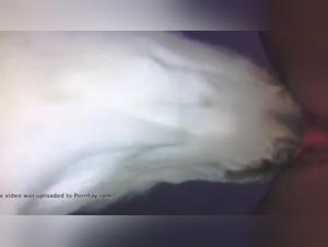 Forbidden Encounters: Dog Porn Reality