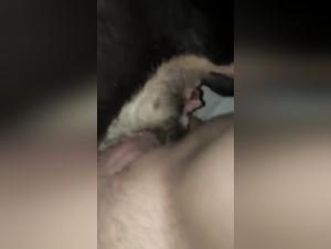 Amateur dog sex video: A bestial and unique experience