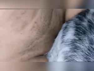 Seduccion Animal: Entdecken Sie die Grenzen des Verlangens