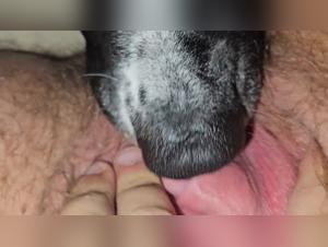 Canine submission, deep debauchery