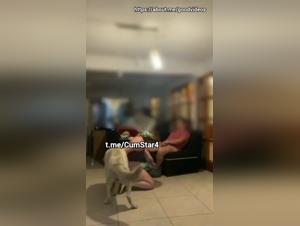 Entdecken Sie Verbotenes Verlangen: Frau, Hund und Leidenschaft