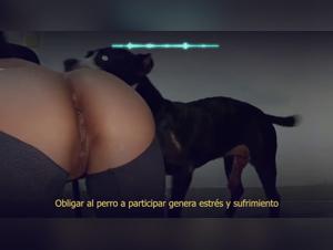 Zootaboo: Sekretos, um Salvaje Con Perros Explorados zu platzieren