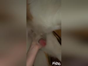 free bestiality videos