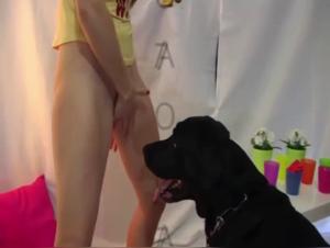 Shocking and exciting zoophilia video