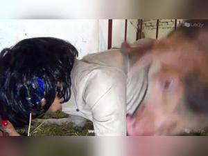 Dog Knot & Forbidden Encounters