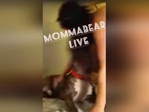 Explore the forbidden world of bestiality sex