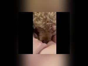 Canine delights and forbidden pleasures