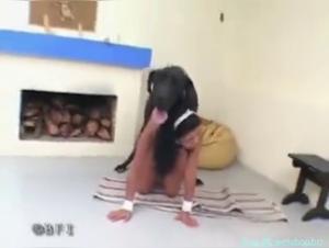 Exploring New Frontiers in Bestiality