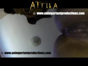 A moment of extreme sex with Luna and her canine companion